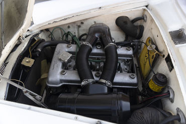 220211 W Wht Sprint 65