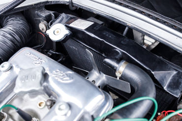 260820 Coda Tronca 124