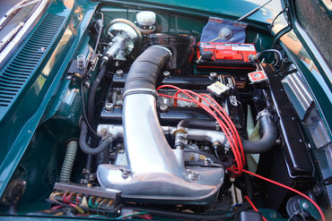 230513 Giulia W 70