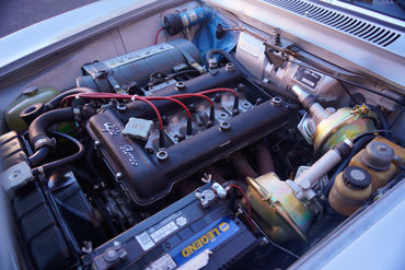 240510 GTV W 66