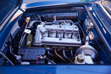 240523 GTJ W 44