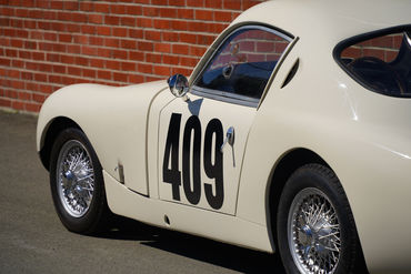 240321 Speedwell W 27