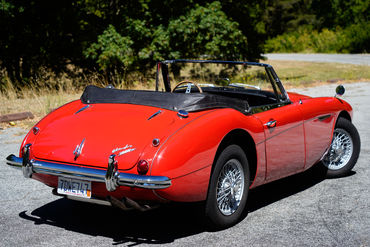 230727 Healey OS 10