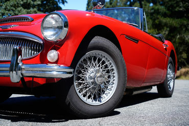 230727 Healey OS 15