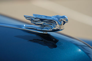 250828 Caddy 016