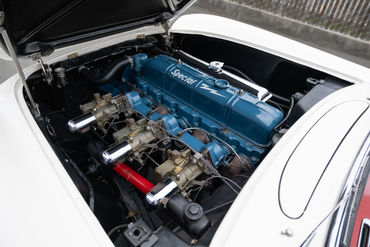 251024 White Vette 59