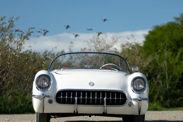 251106 White Vette 006