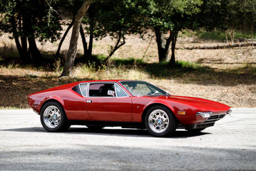 260926 Pantera 004