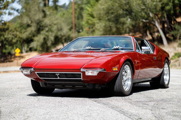 260926 Pantera 013