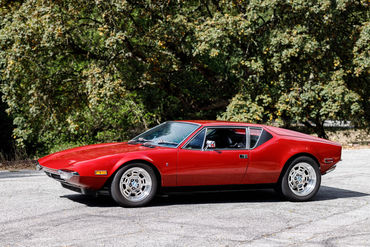 260926 Pantera 015