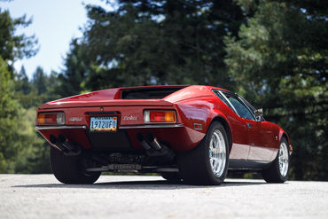 260926 Pantera 024