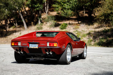 260926 Pantera 029