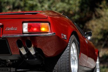 260926 Pantera 047