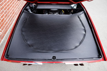 260926 Pantera 105
