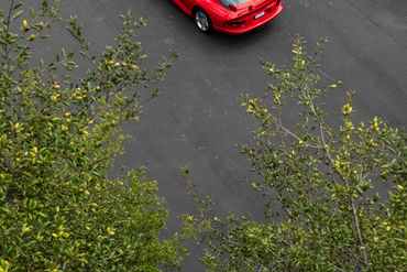 260827 Viper 030
