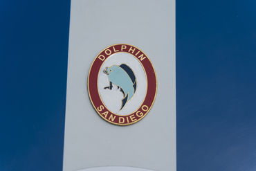 220603 W Dolphin 23