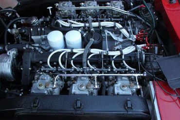 81753