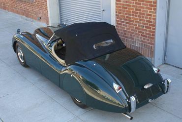 19544