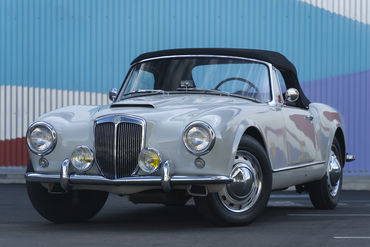 220312 Aurelia 01