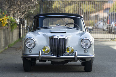 220312 Aurelia 03