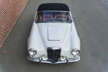 220312 Aurelia 06