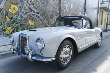 220312 Aurelia 07
