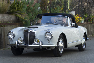 220312 Aurelia 08
