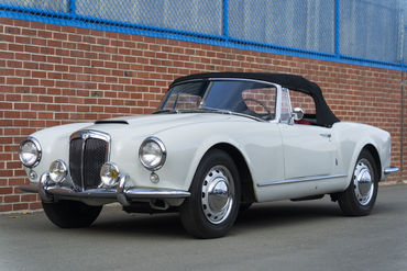 220312 Aurelia 10