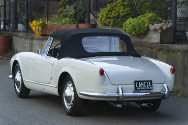 220312 Aurelia 14