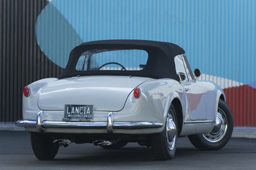 220312 Aurelia 15