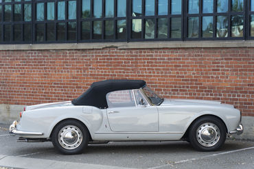 220312 Aurelia 18