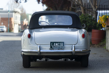 220312 Aurelia 20