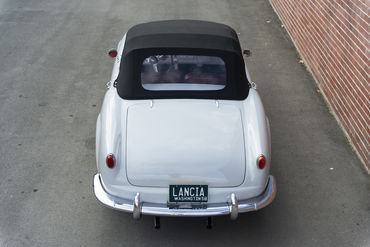 220312 Aurelia 22