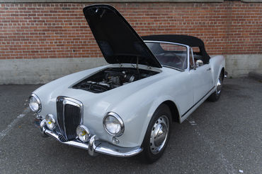 220312 Aurelia 23