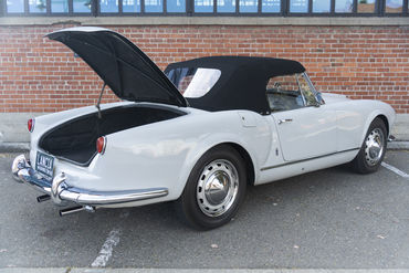 220312 Aurelia 24