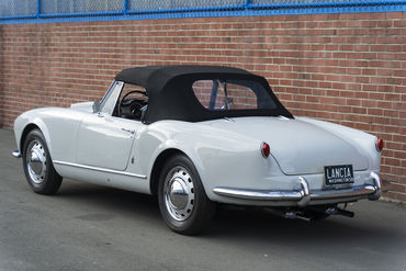 220312 Aurelia 25