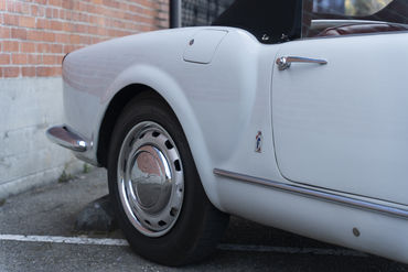 220312 Aurelia 29