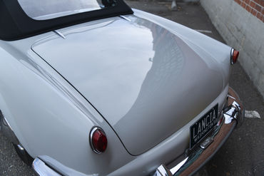 220312 Aurelia 37