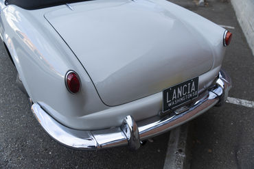 220312 Aurelia 38