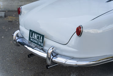 220312 Aurelia 40