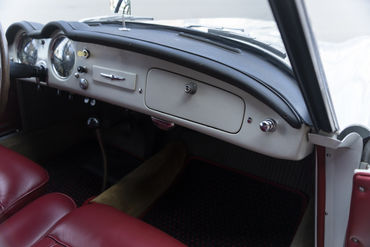 220312 Aurelia 48