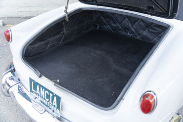 220312 Aurelia 60