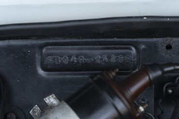 220312 Aurelia 75