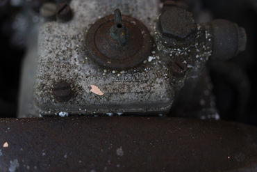 220120 W Lotus Elan 33