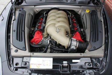 49564