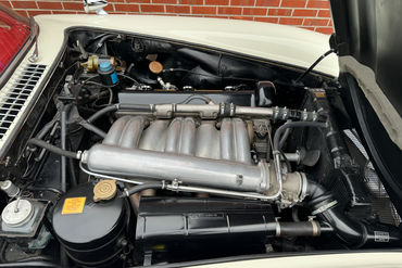 231202 300 SL W 79