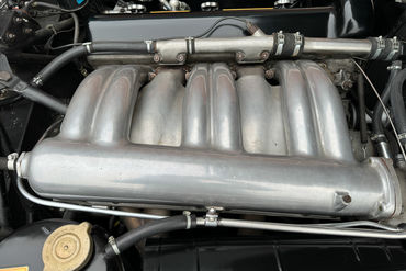 231202 300 SL W 81