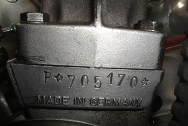 66564