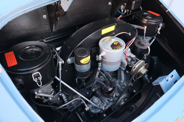 250215 Blue 356 W 81