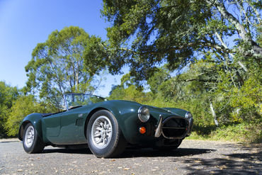 221014 OS Cobra 02